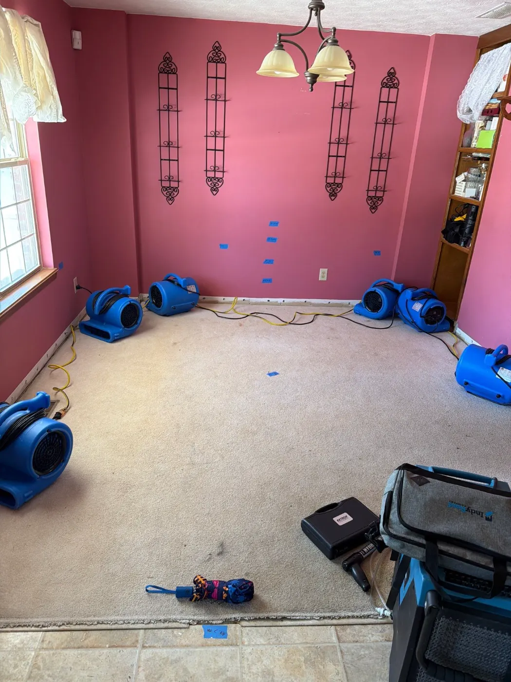 Storm Flood Cleanup in Devon: 10 step Restoration Plan